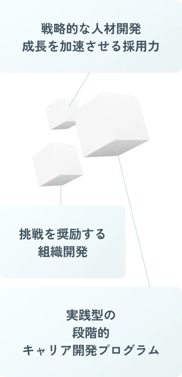 Resourceの３本の柱 戦略的な人材開発 成長を加速させる採用力 決戦を奨励sr雨組織開発 実践型の段階的キャリア開発プログラム