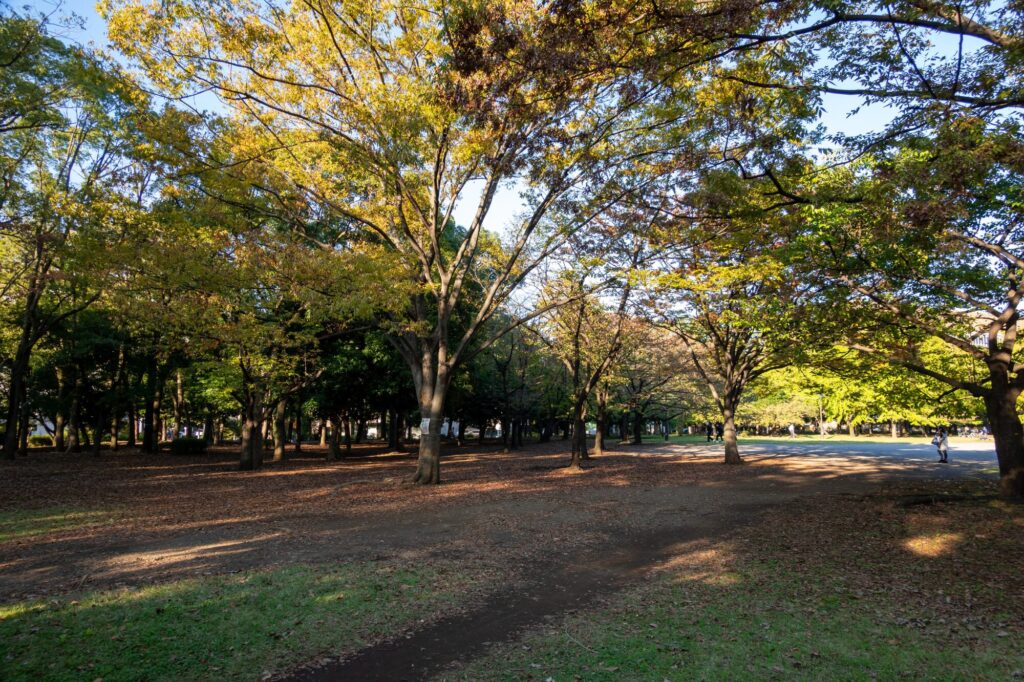 清澄白河イメージ_カフェ